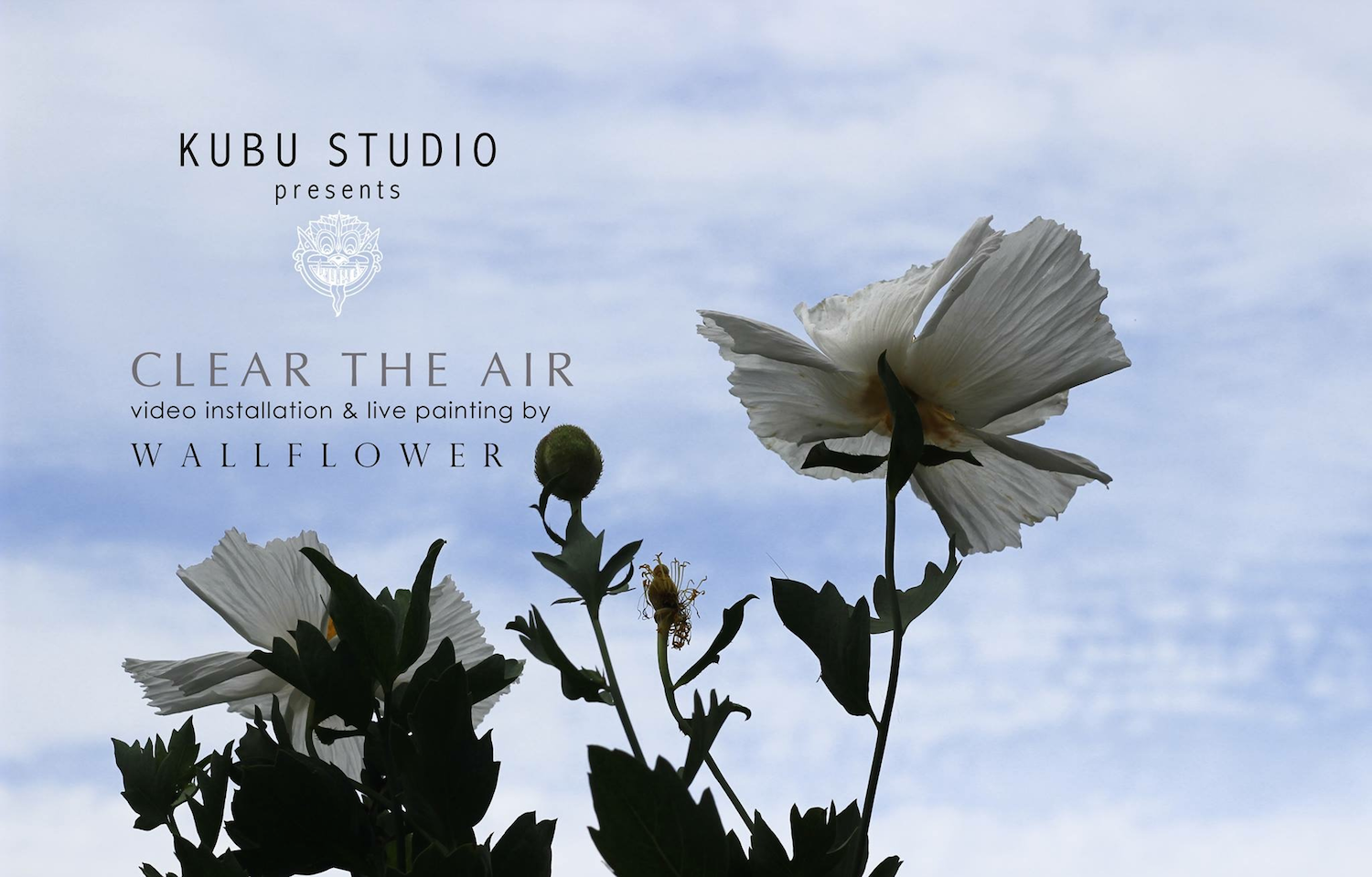 Clear the Air<h4>Courtney Ward </h4>