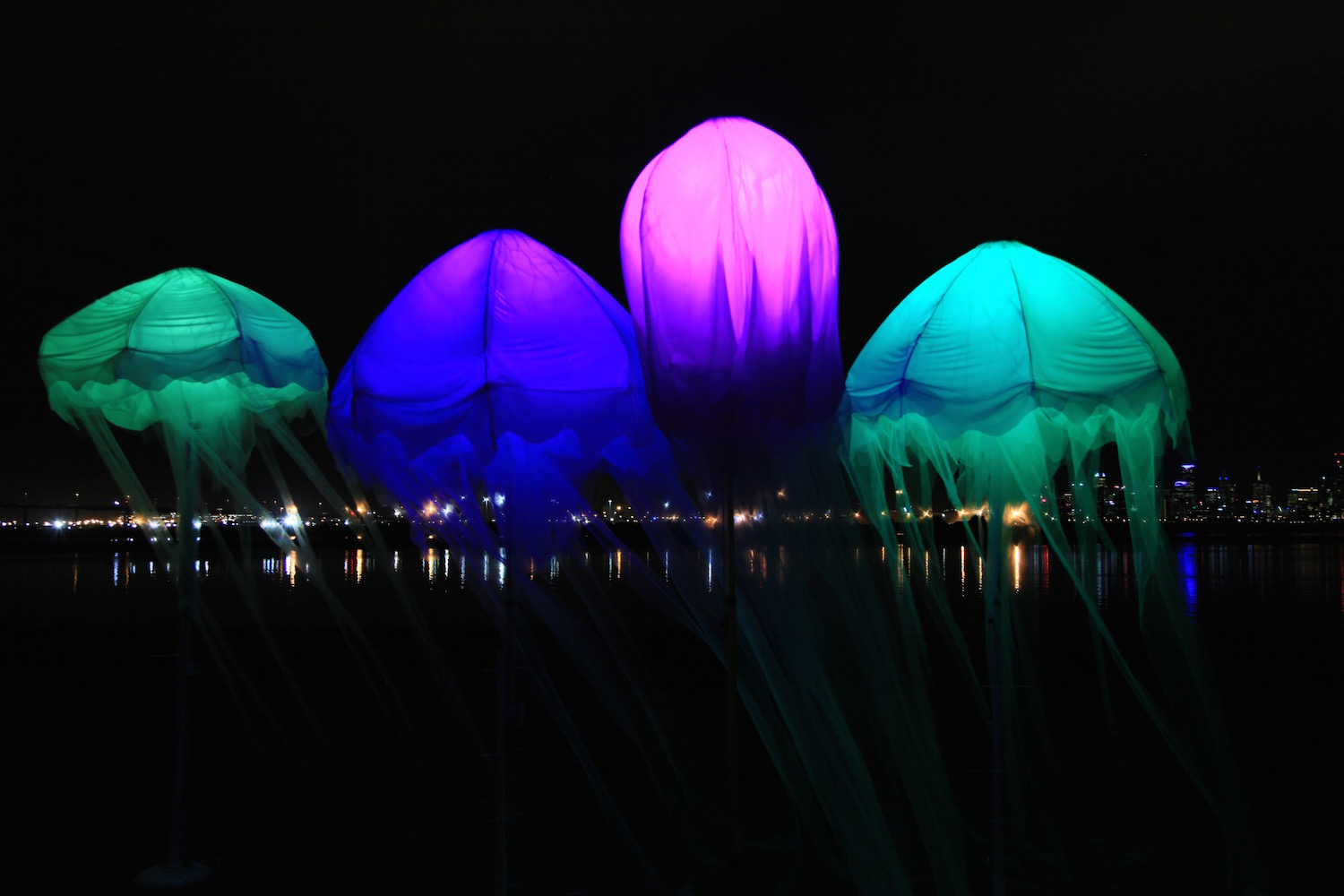 Les Méduses (Jellyfish)<h4>Barking Spider Visual Theatre in association with Black Hole Theatre</h4>