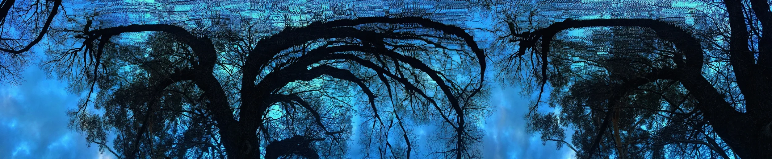 Otherwordly Environment<h4>Georgina Lamperd</h4>