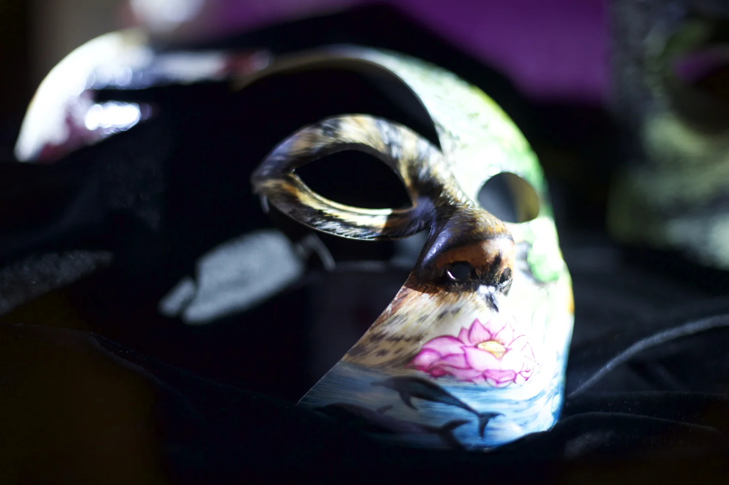 Artist: Isobelle Carmody; Photographer: Ferne Millen