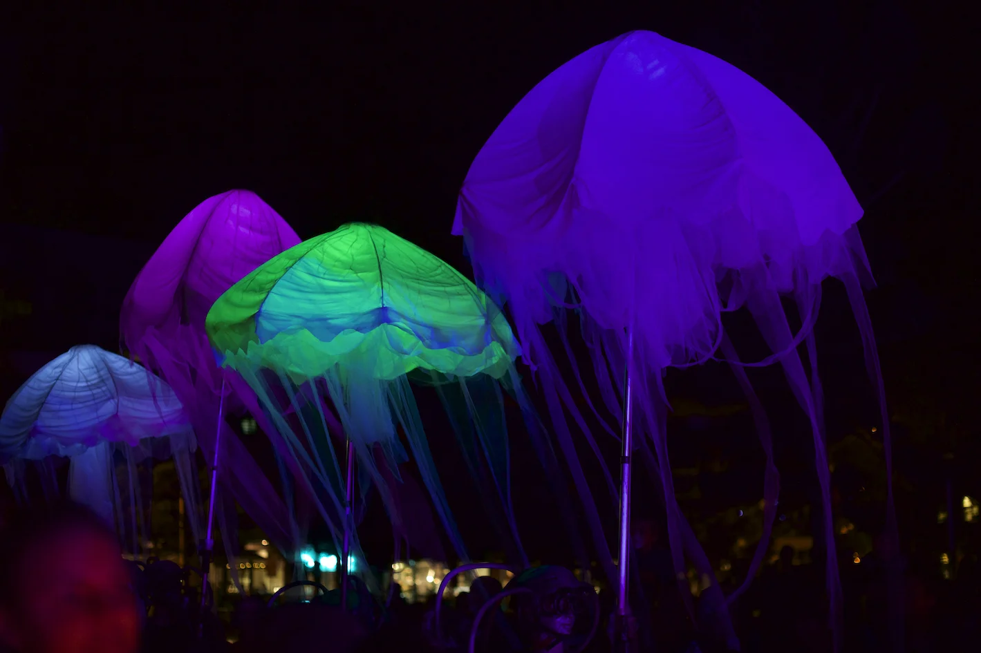 Les Meduses, Barking Spider Theatre; Photographer: Ferne Millen