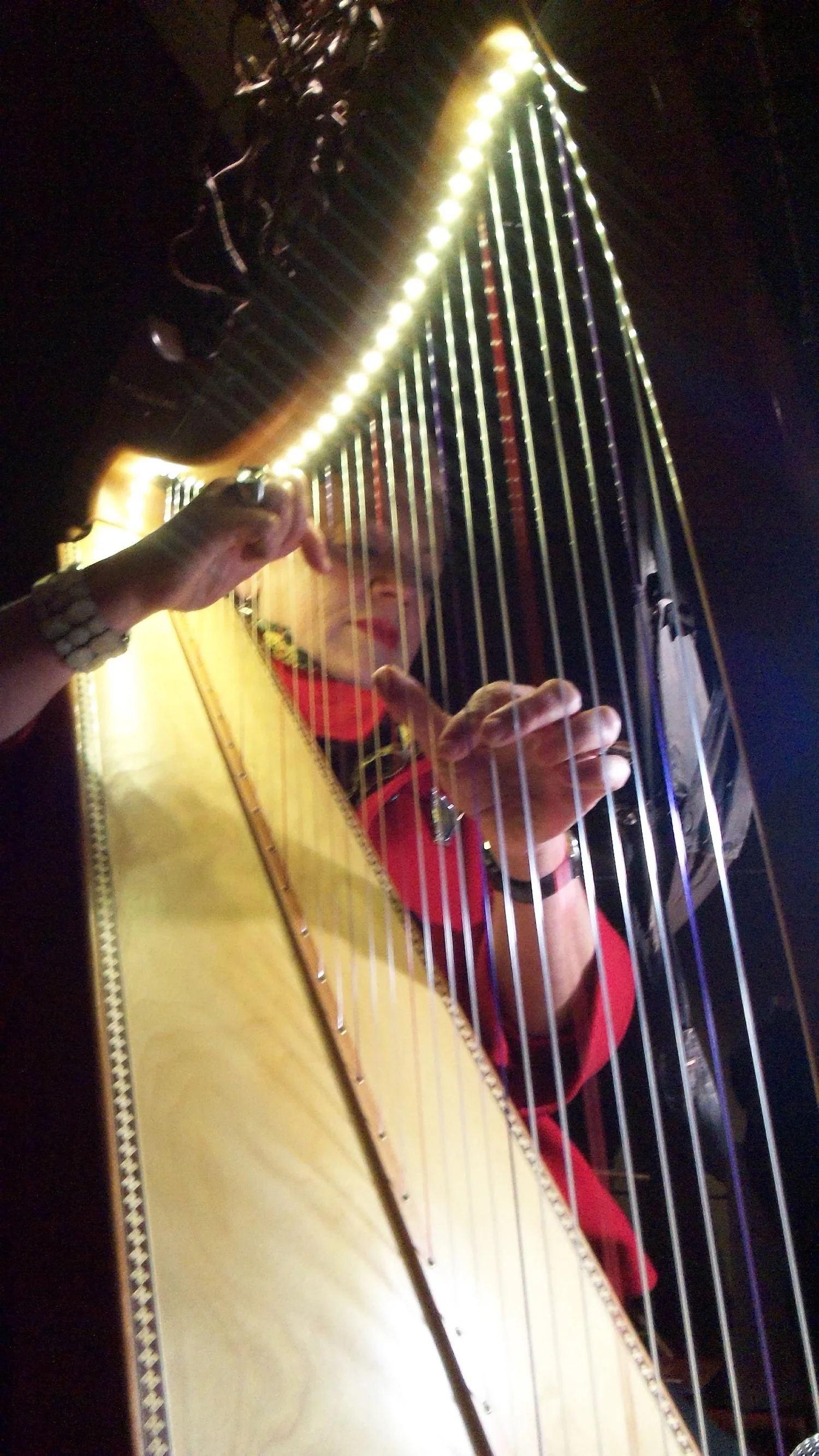 Street Harp<h4>Christine Middleton</h4>