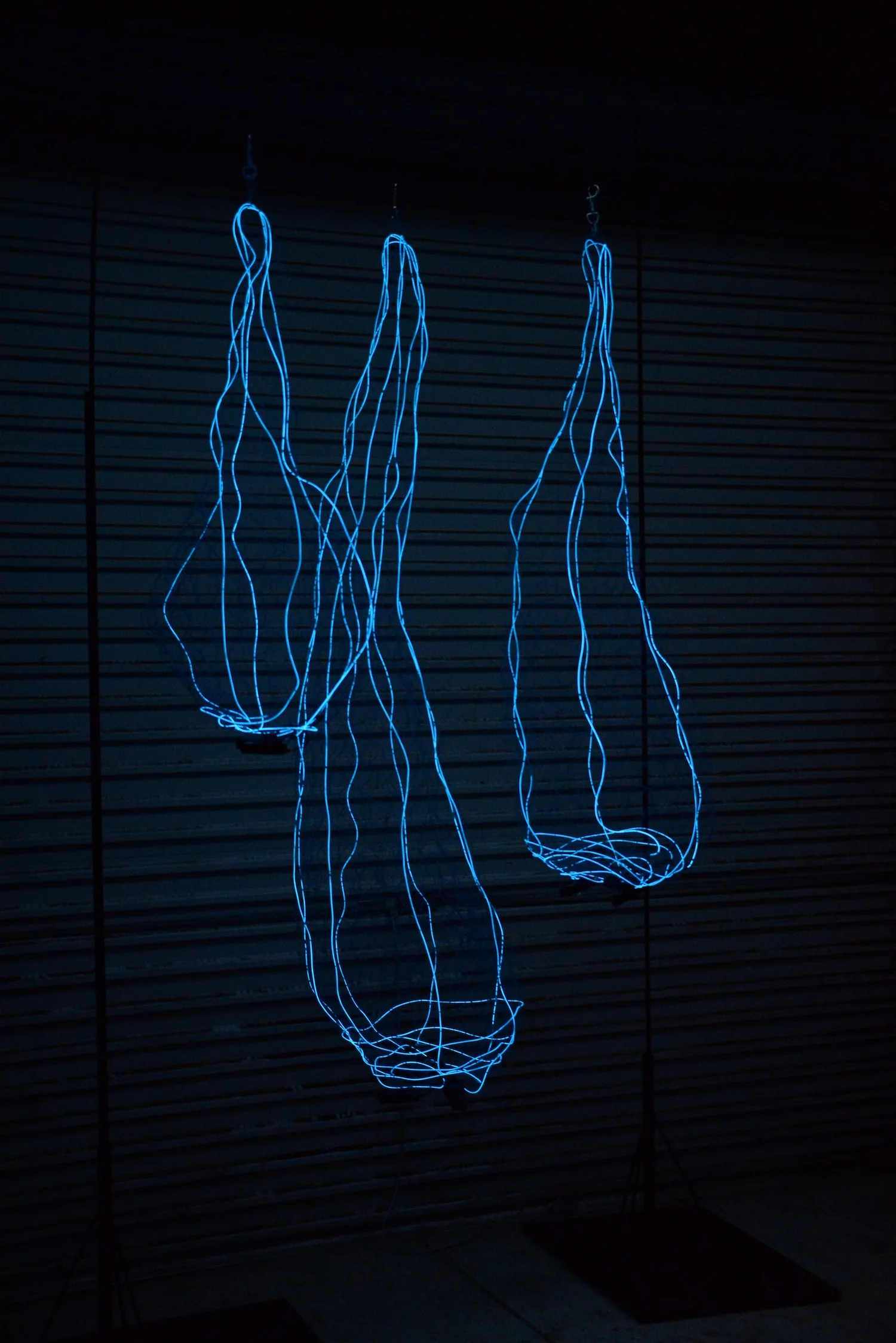 Mourning Empty Nest-ers <h4>Janine Clark</h4>