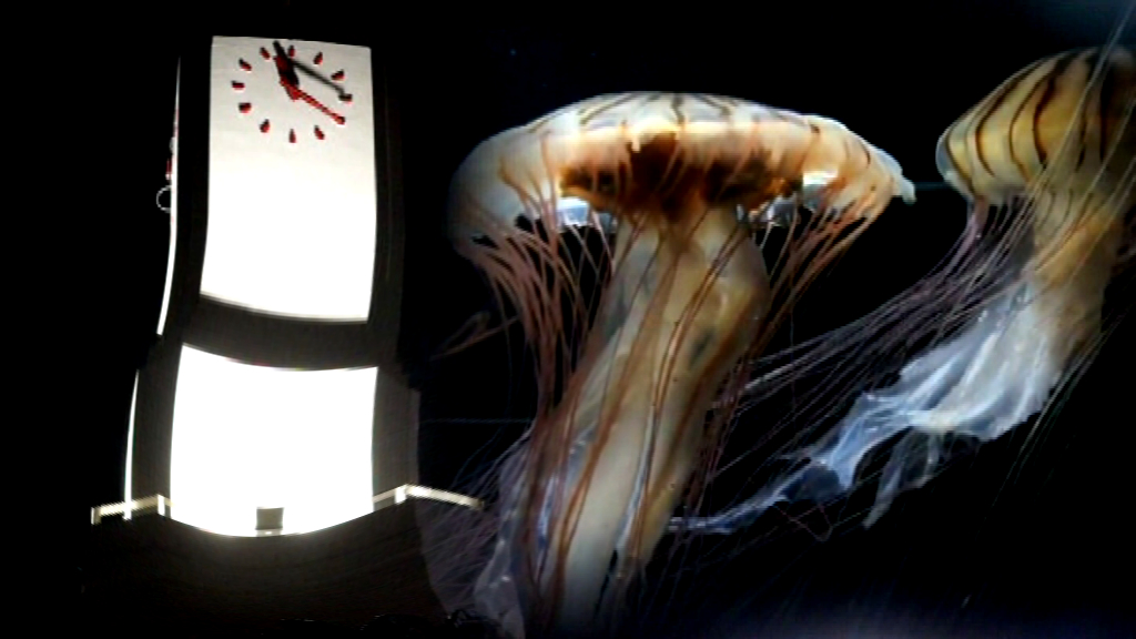 To the End of Time <h4>David King & Joseph Stanaway</h4>