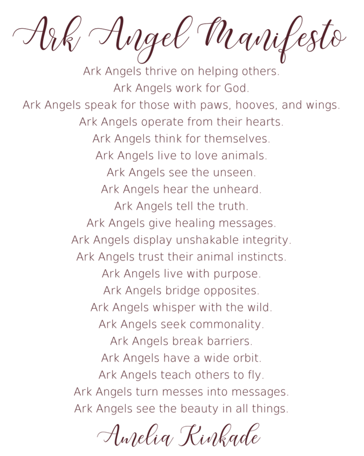 Ark Angel Manifesto.png
