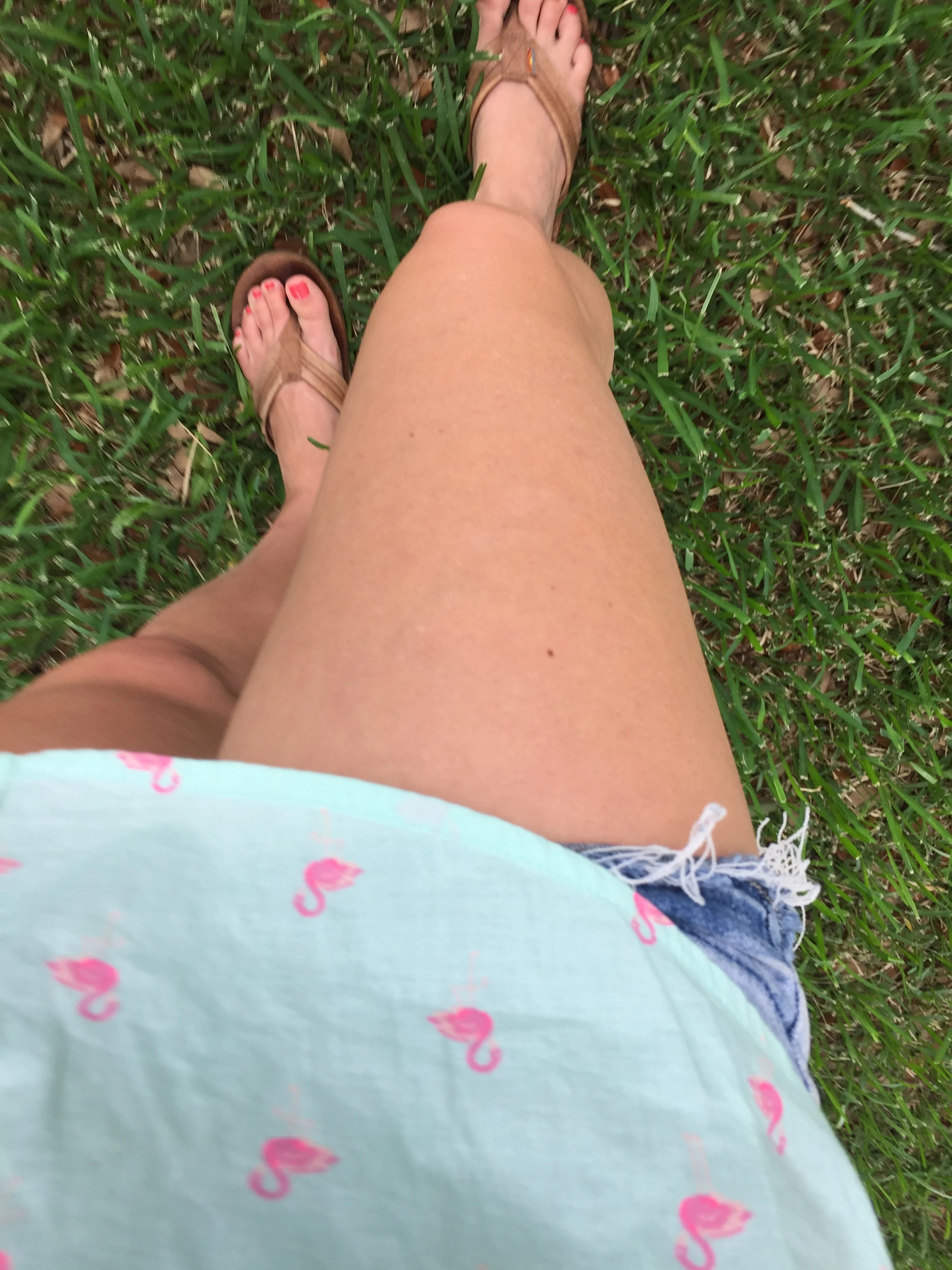 When the grass comes up in early spring it completely warms my heart. 
