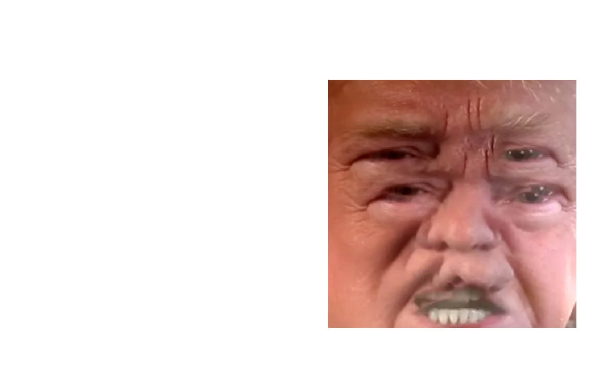 part255.jpg