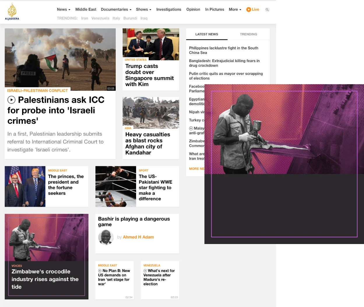 portfolio-layout.jpg