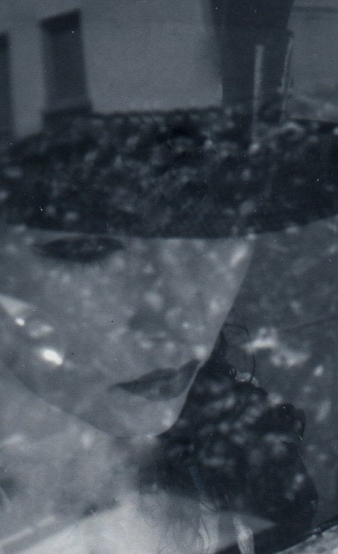 2943775984_035da455a8_o.jpg