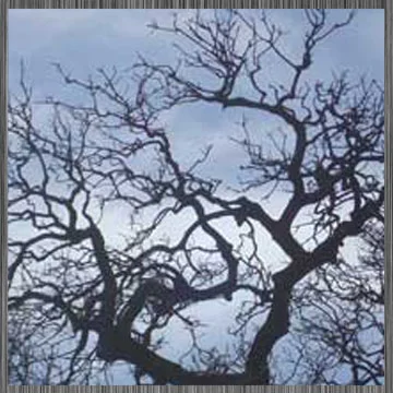 New Collide album...Two Headed Monster