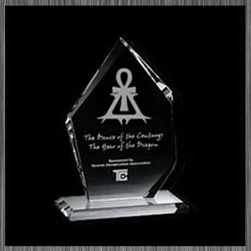 Gothic Beauty Band of the Year award