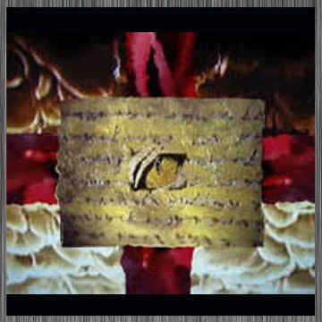 New MP3.com Collide CD