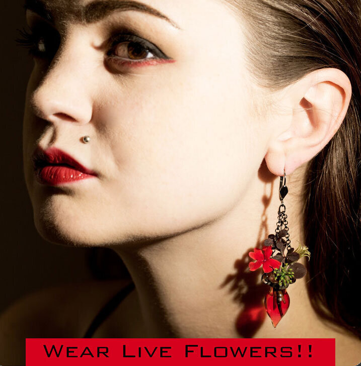 Blossoms (Vases for your Ears)