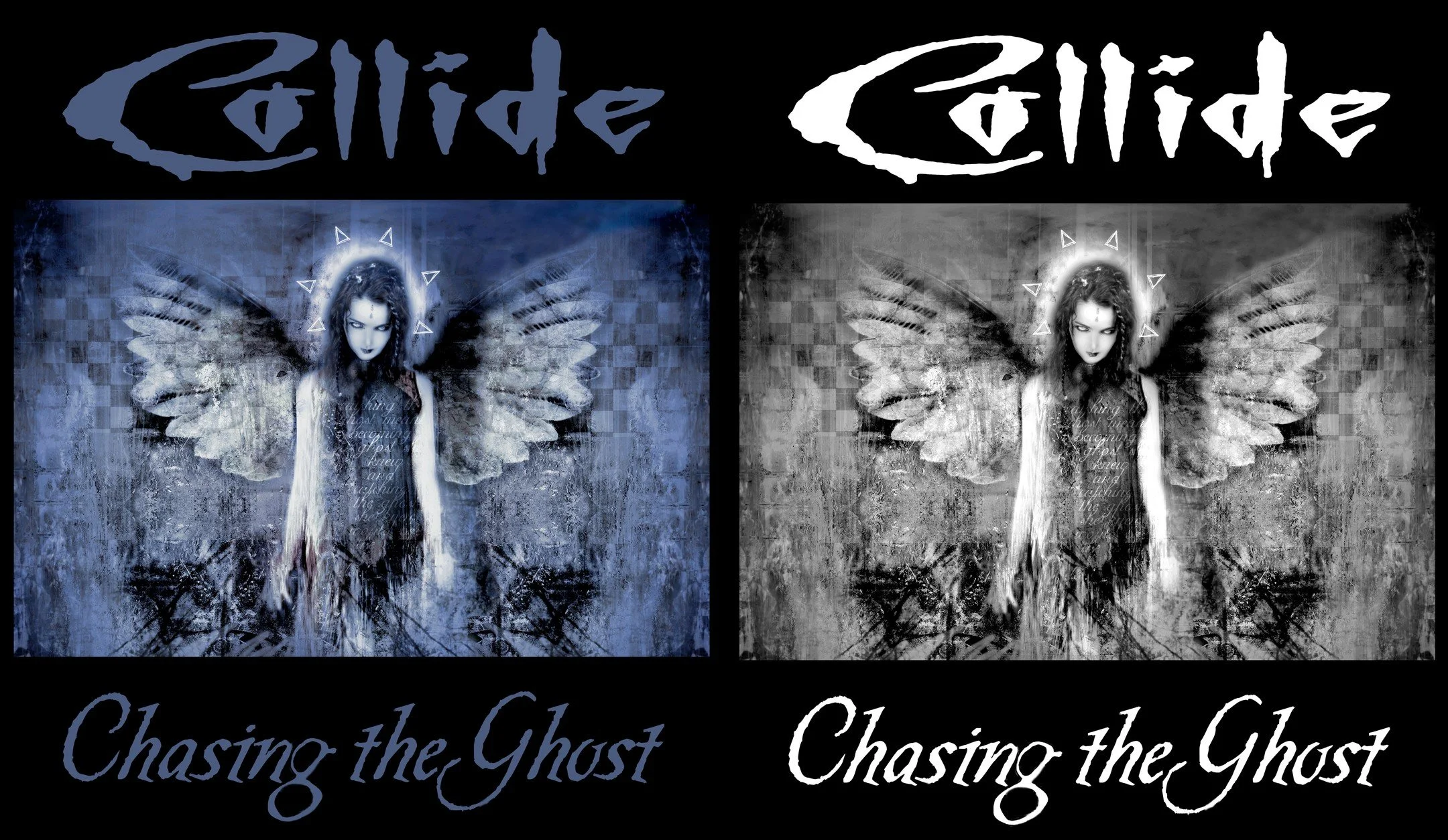 Chasing the Ghost T-Shirts...color or black and white?