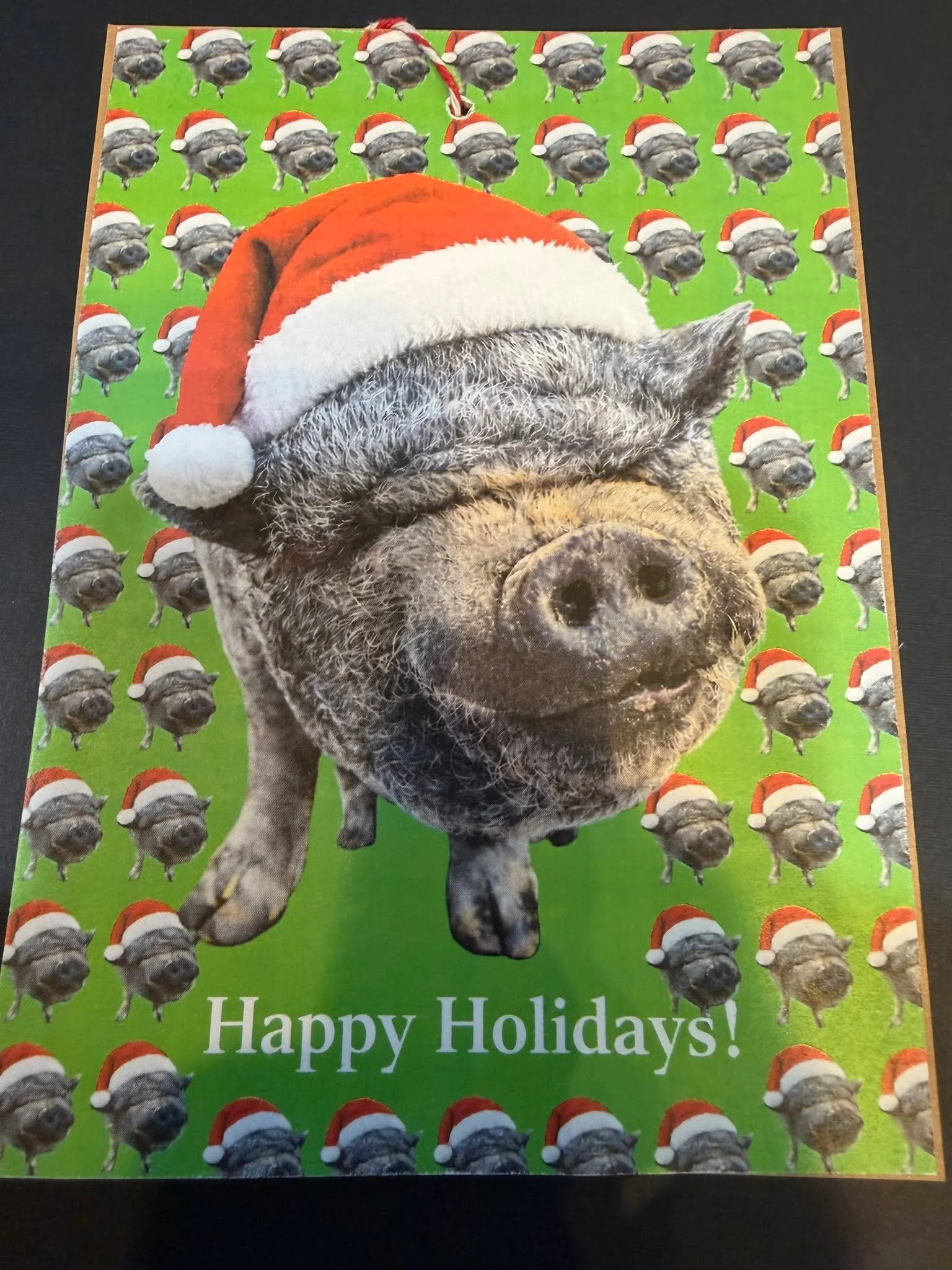 Special thanks to our friends @betsymartin44 and @kevin_kipnis &amp; their pig George for always sending us the best card of the year!! Check out their awesome band Purr Machine.

Another special thanks to Kyle Barrack for always thinking of us and s