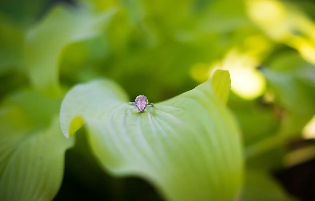 AmberRaePhotography-EngagementPhotography-15.jpg