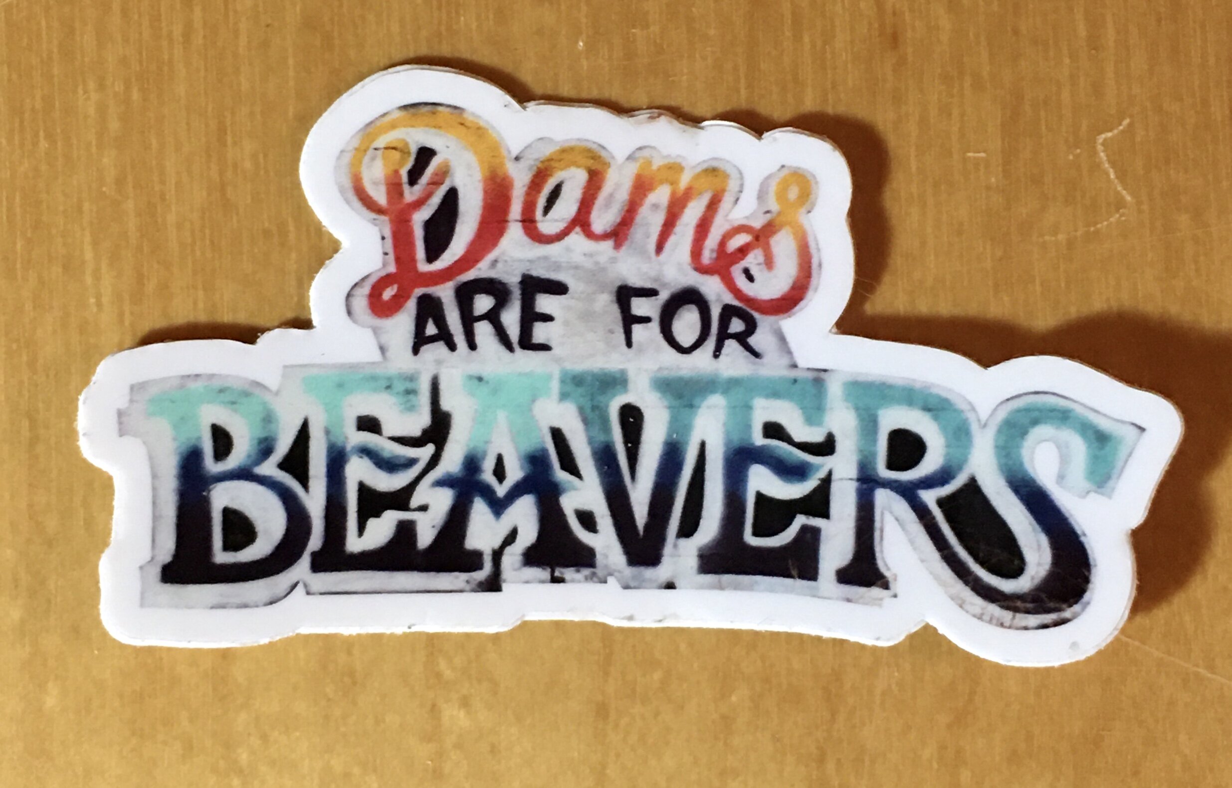 Dams Are For Beavers Sticker