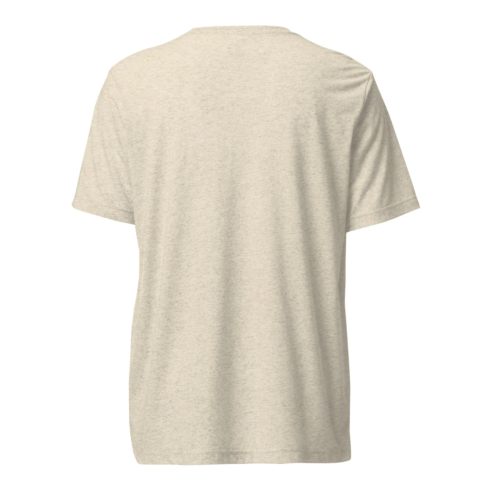 unisex-tri-blend-t-shirt-oatmeal-triblend-back-6a48042e2f279.jpg