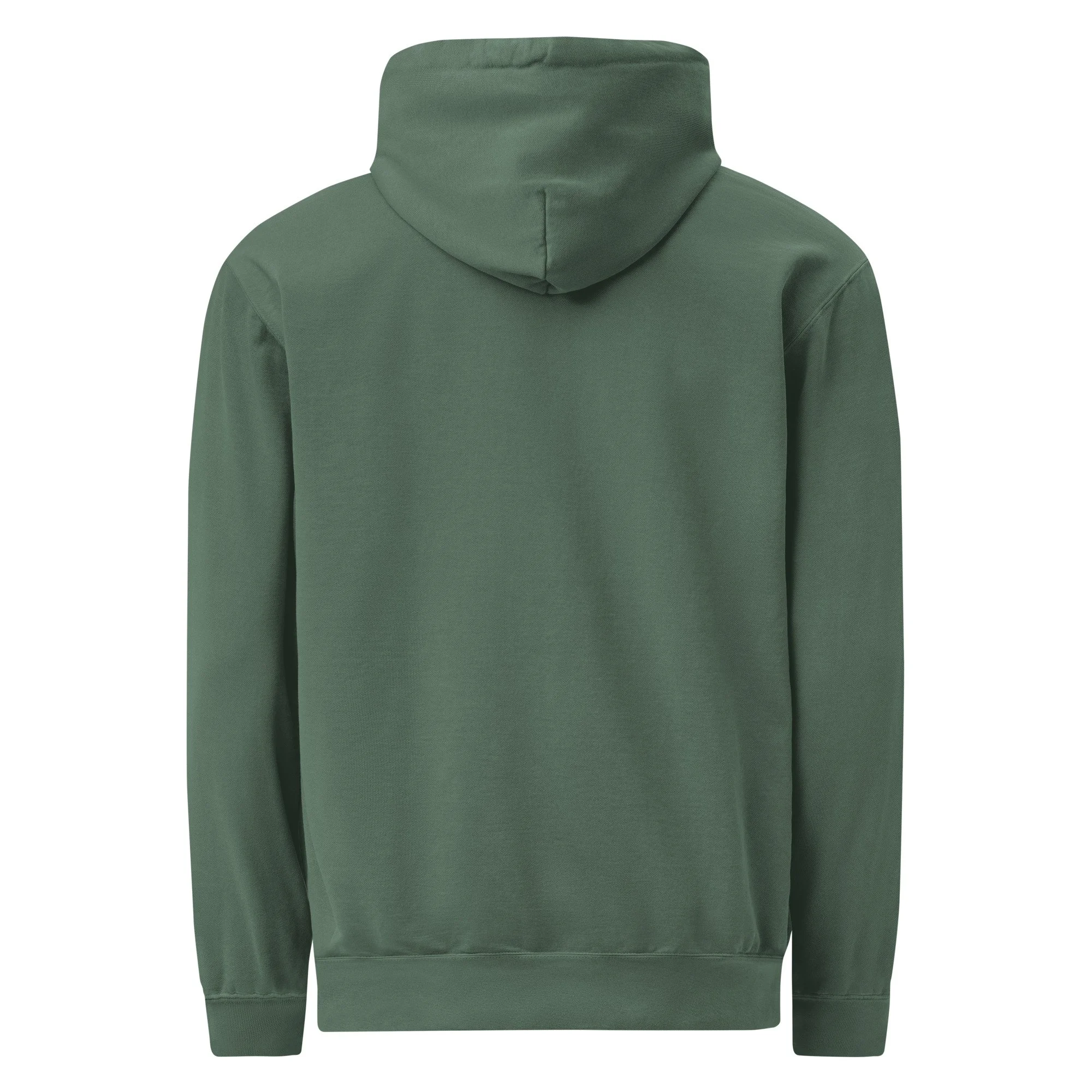 unisex-garment-dyed-hooded-sweatshirt-i-comfort-colors-1567-blue-spruce-back-6a480729de242.jpg