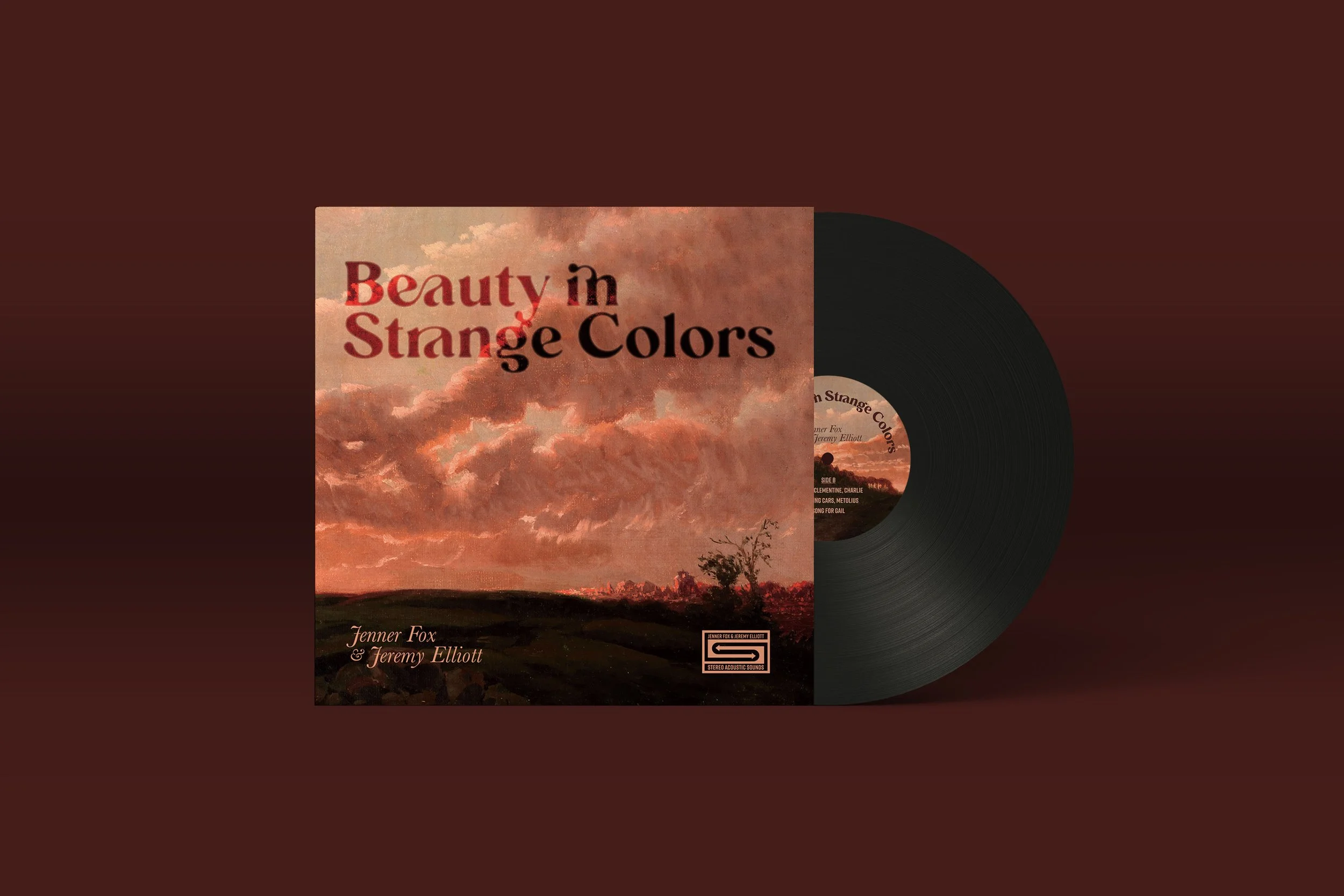 Beauty_in_Strange_Vinyl_Mock copy.jpeg