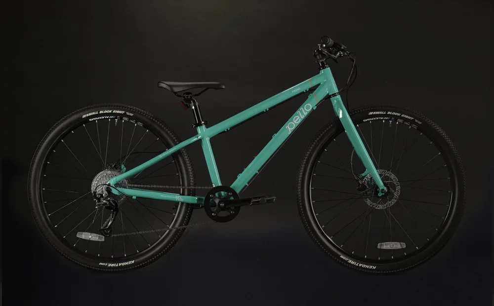 Amazon Manual For Schwinn 270 Recumbent Bike Otrain Com Schwinn