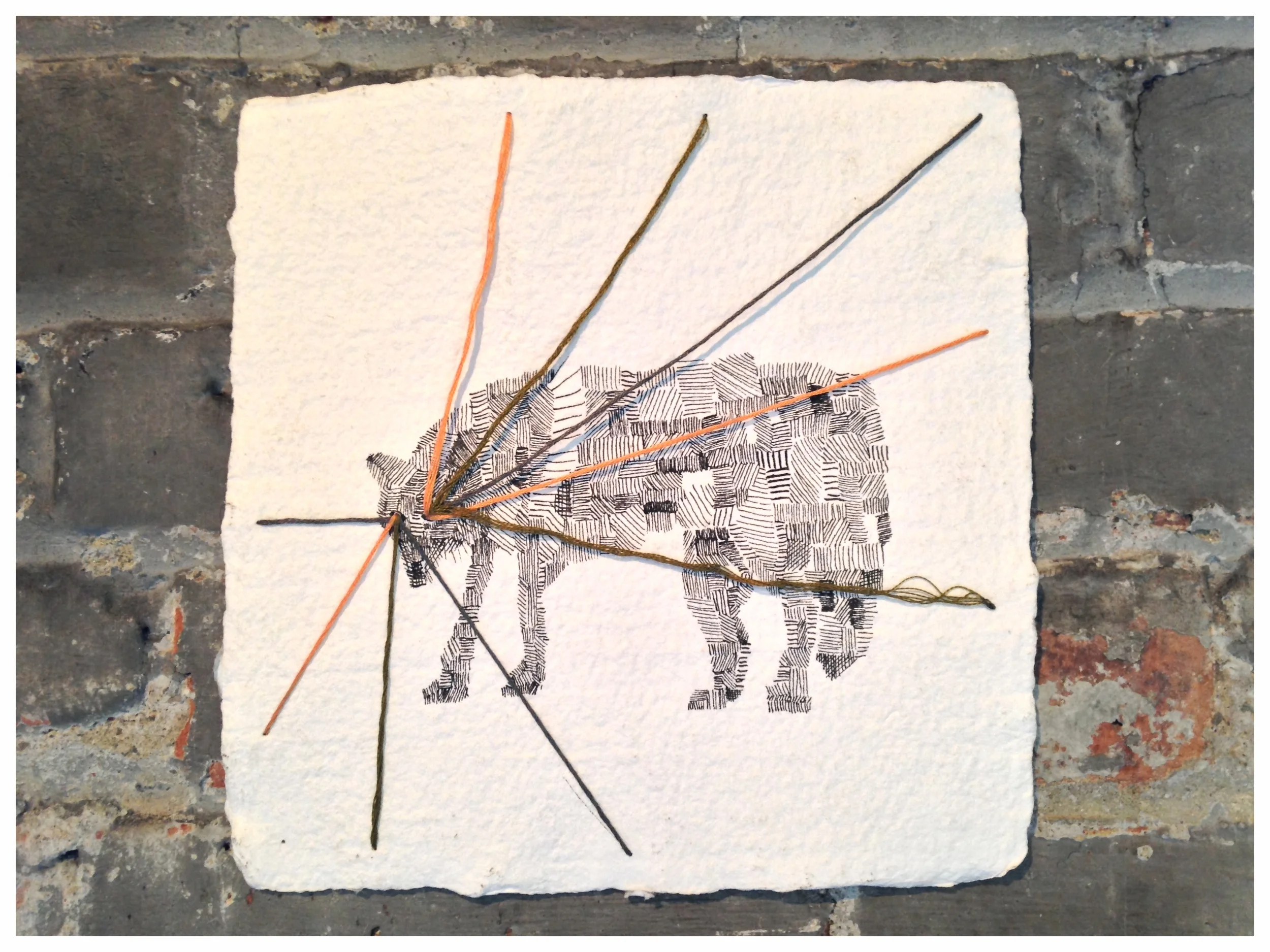 What the Totem Told Me