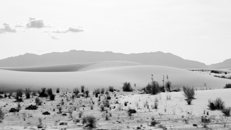 Desert Dunes, Image 2 of 12, 2020-2021. NORNSLIFE ART | DACD