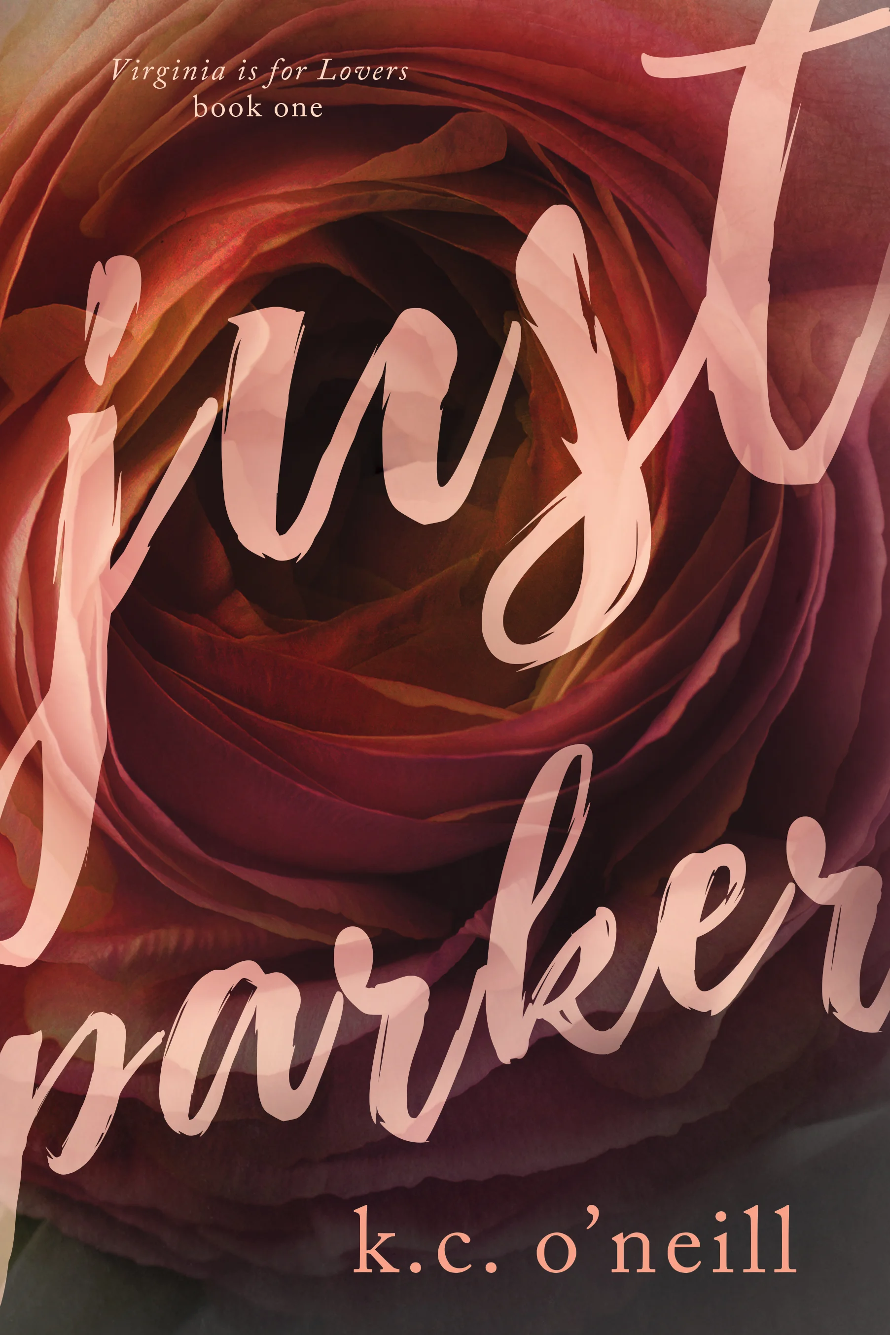 JustParker_Amazon_iBooks.jpg