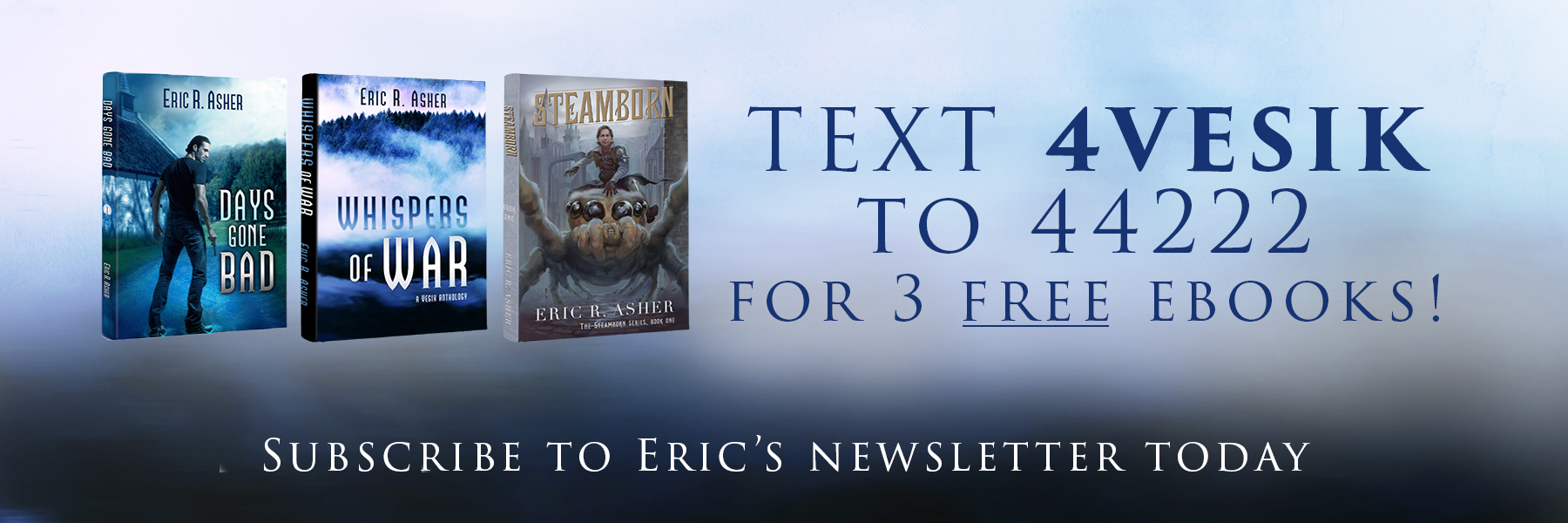 EricNewsletterBookmark.jpg
