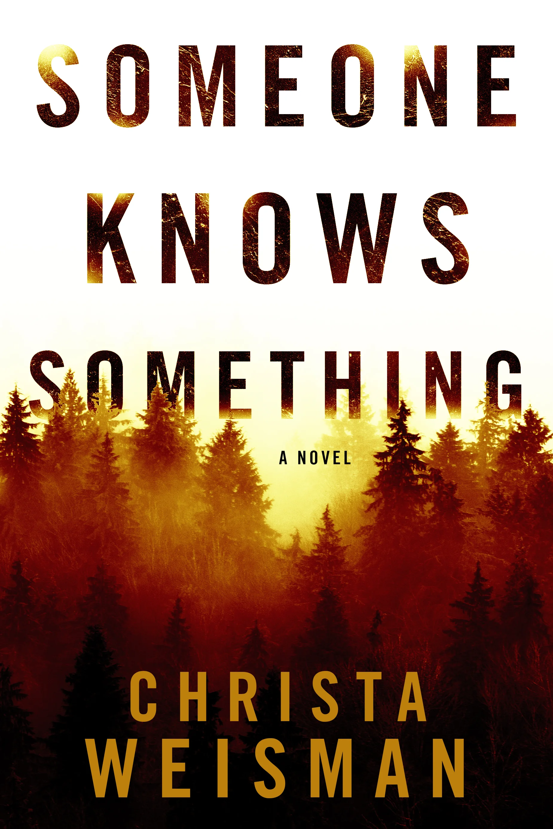 SomeoneKnowsSomething_Amazon_iBooks.jpg