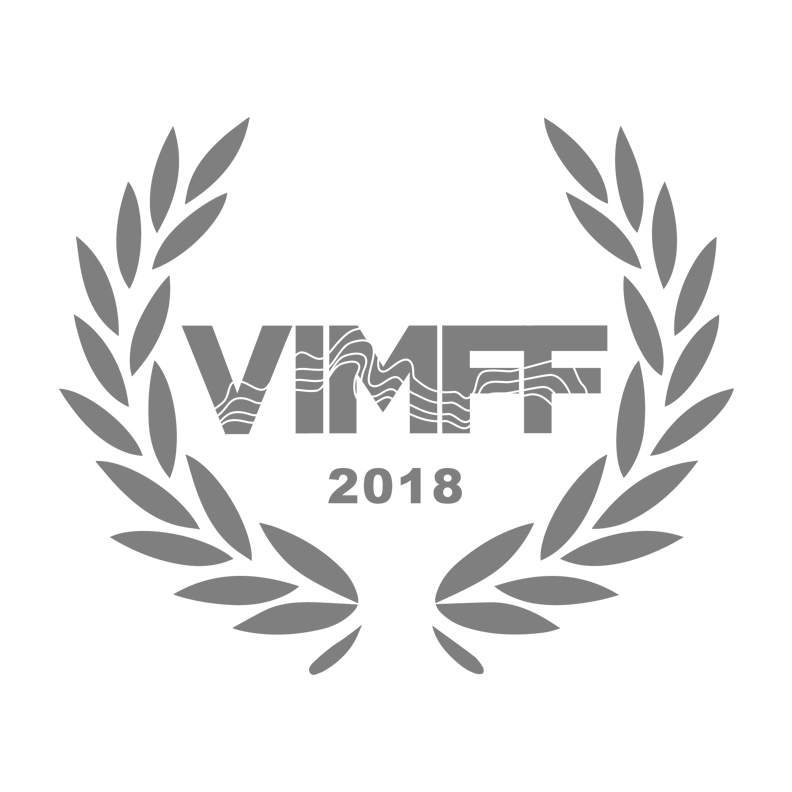 vimff.jpg