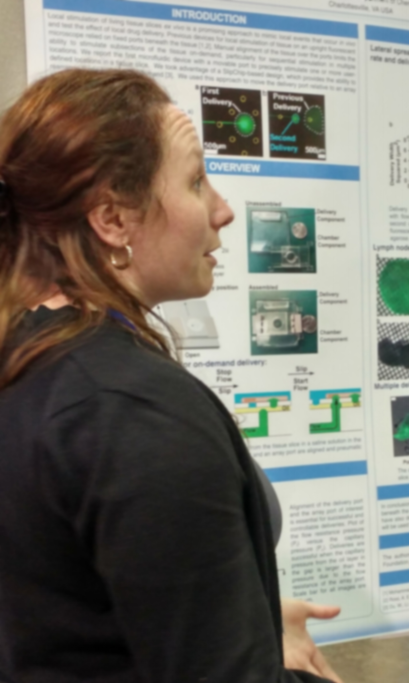 Meg presents her work.