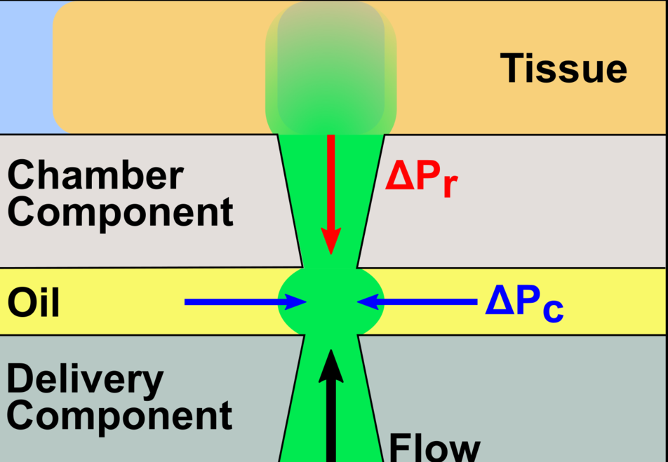 Lab on a Chip, 2018