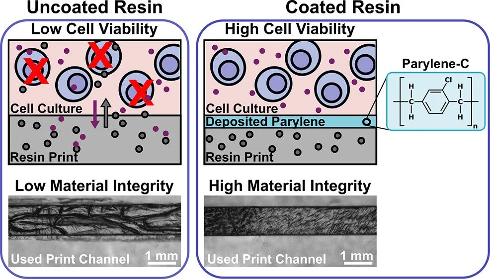 Preserving white blood cell viability and material integrity in 3D printed chips