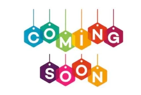 T cell—B cell interactions in a microphysiological model of the human lymph node