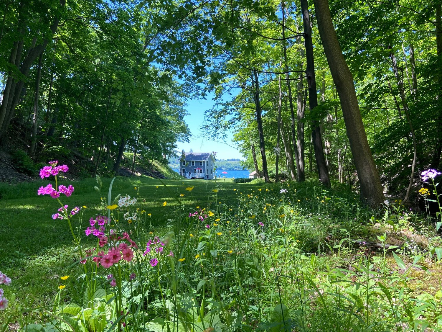 Storybook Cottage — photograph 39