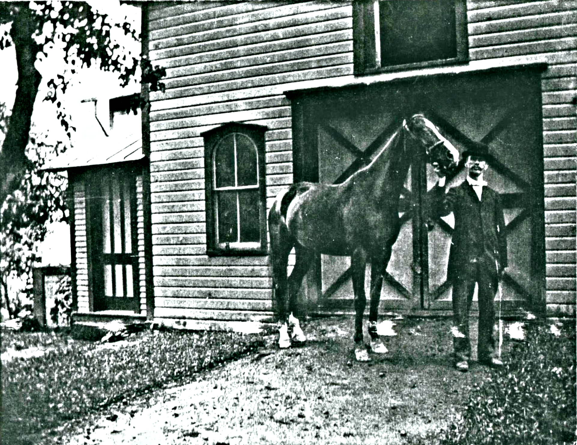 Burrit stands with horse HDR.jpg