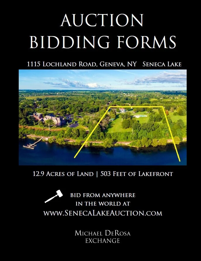 Seneca Lake Auction — Michael DeRosa Exchange Lifestyle Real Estate Buy and Sell Unique
