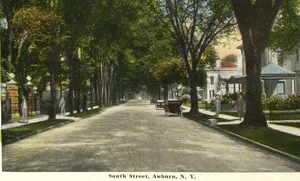 The Sefton Mansion thumbnail 65