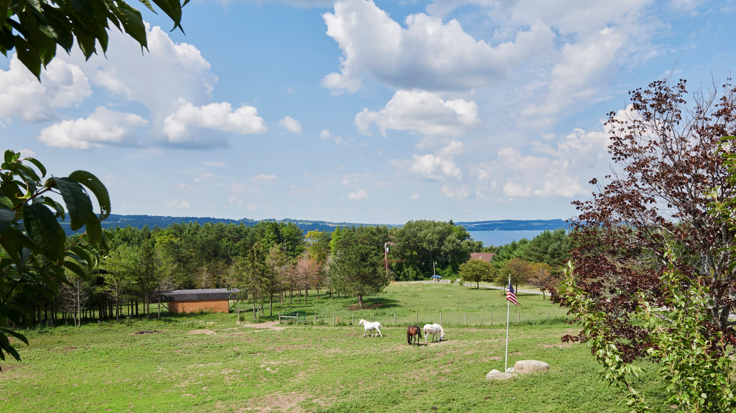 PINE GROVE FARM