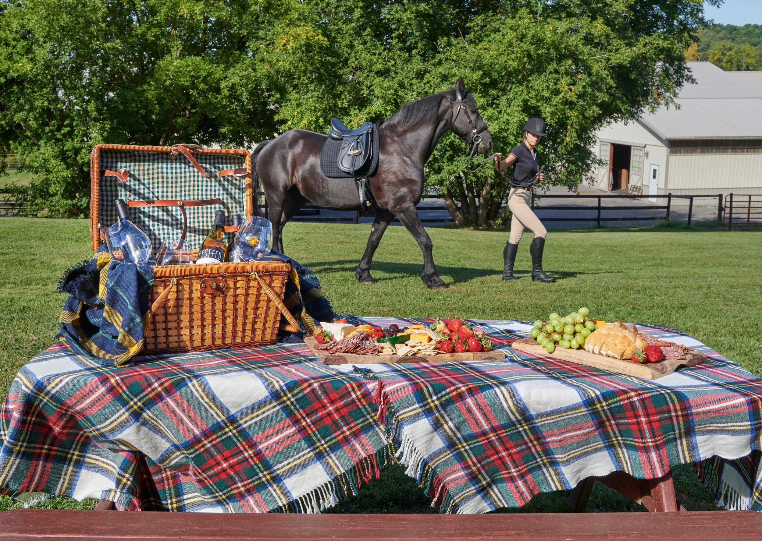 21 for sale 10050 Short Cut Rd, Weedsport, NY horse riding stables farm ranch equestrian property for .JPG