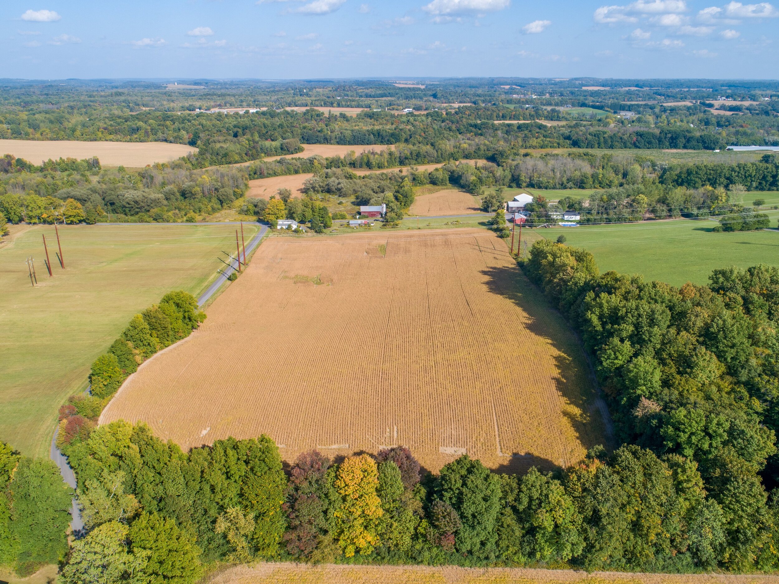  Farm_Auction_7563_Potter_Road_Auburn_NY_13021_Town_of_Throop_For_Sale_Listing_by_Michael _DeRosa_Exchange 