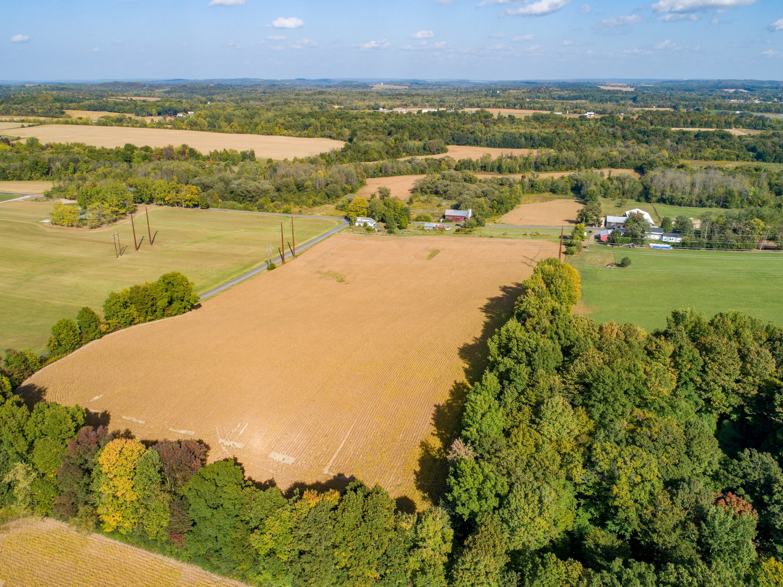  Farm_Auction_7563_Potter_Road_Auburn_NY_13021_Town_of_Throop_For_Sale_Listing_by_Michael _DeRosa_Exchange 