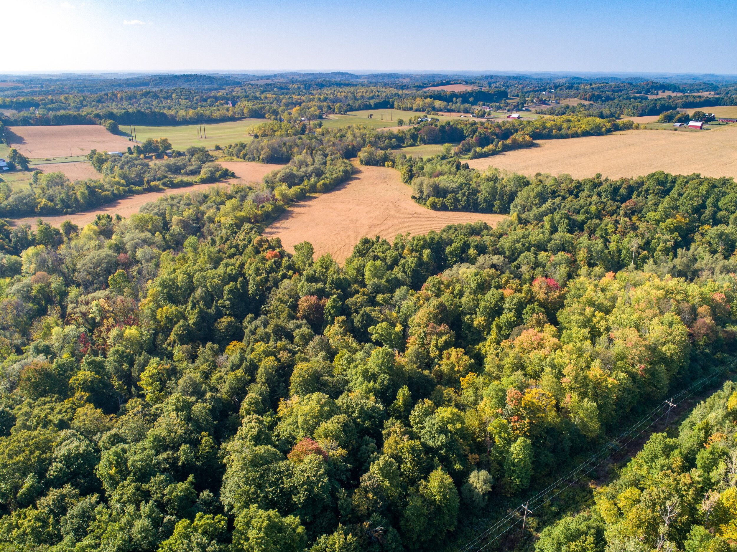  Farm_Auction_7563_Potter_Road_Auburn_NY_13021_Town_of_Throop_For_Sale_Listing_by_Michael _DeRosa_Exchange 