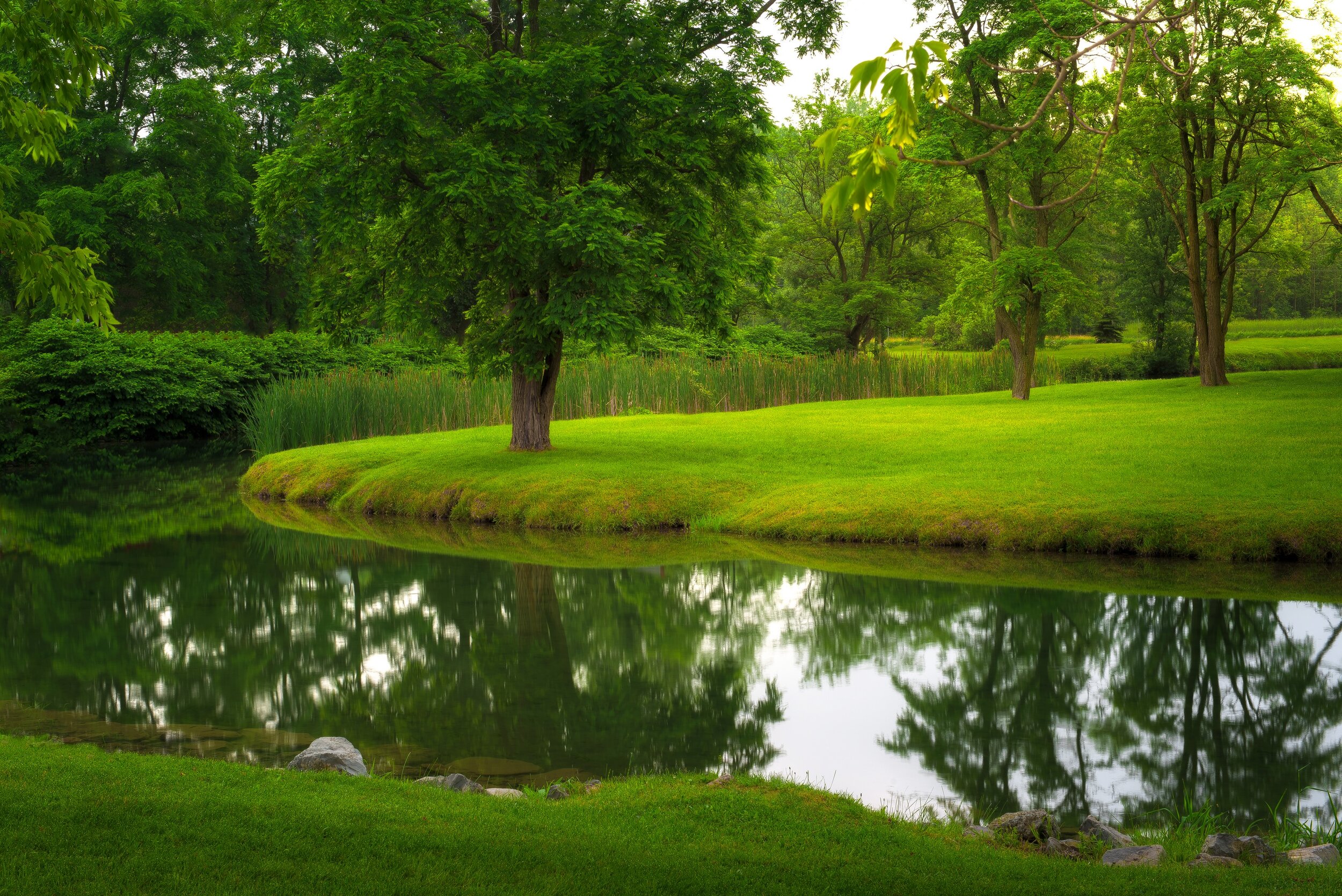 3 Emerson Park on Owasco Lake New York.jpg