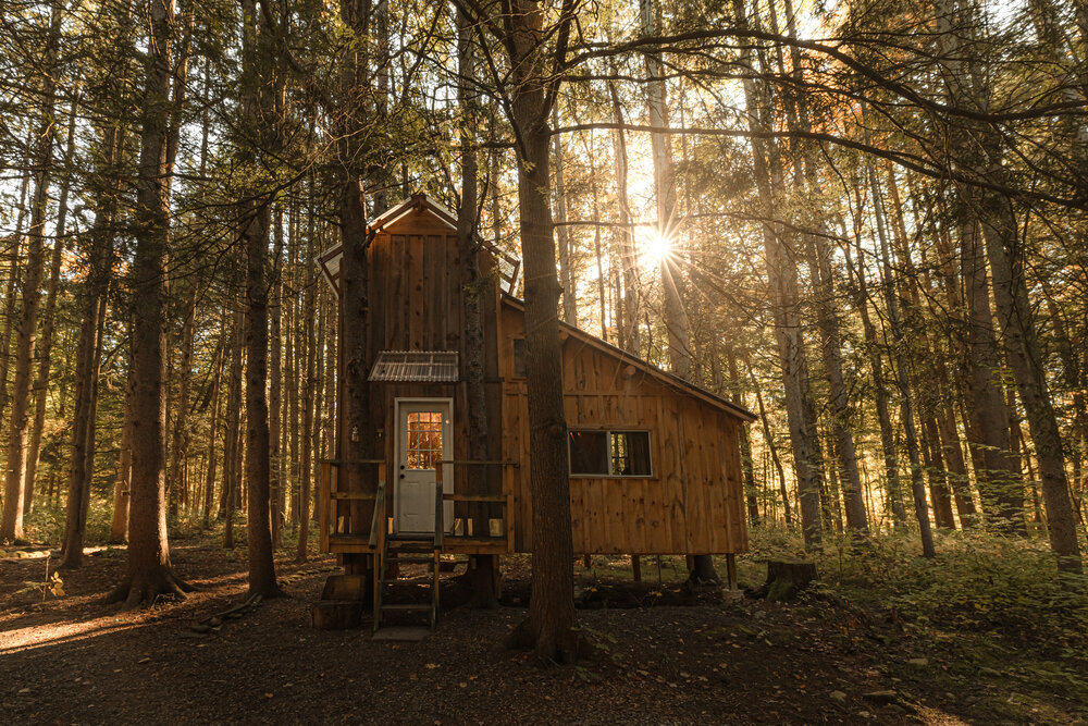 Goodalls+Treehouse+at+Wellnesste+Lodge+in+Upstate+NY_Ground+View+at+Sunrise.jpg