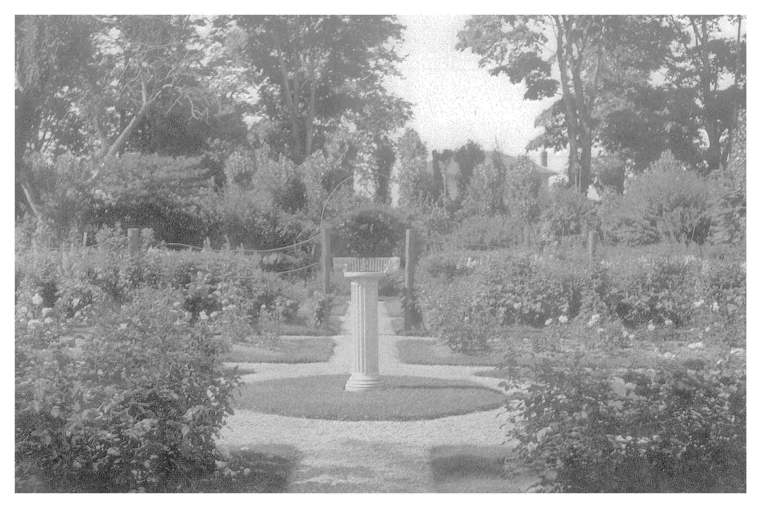 The Fairfield Estate — photograph 153