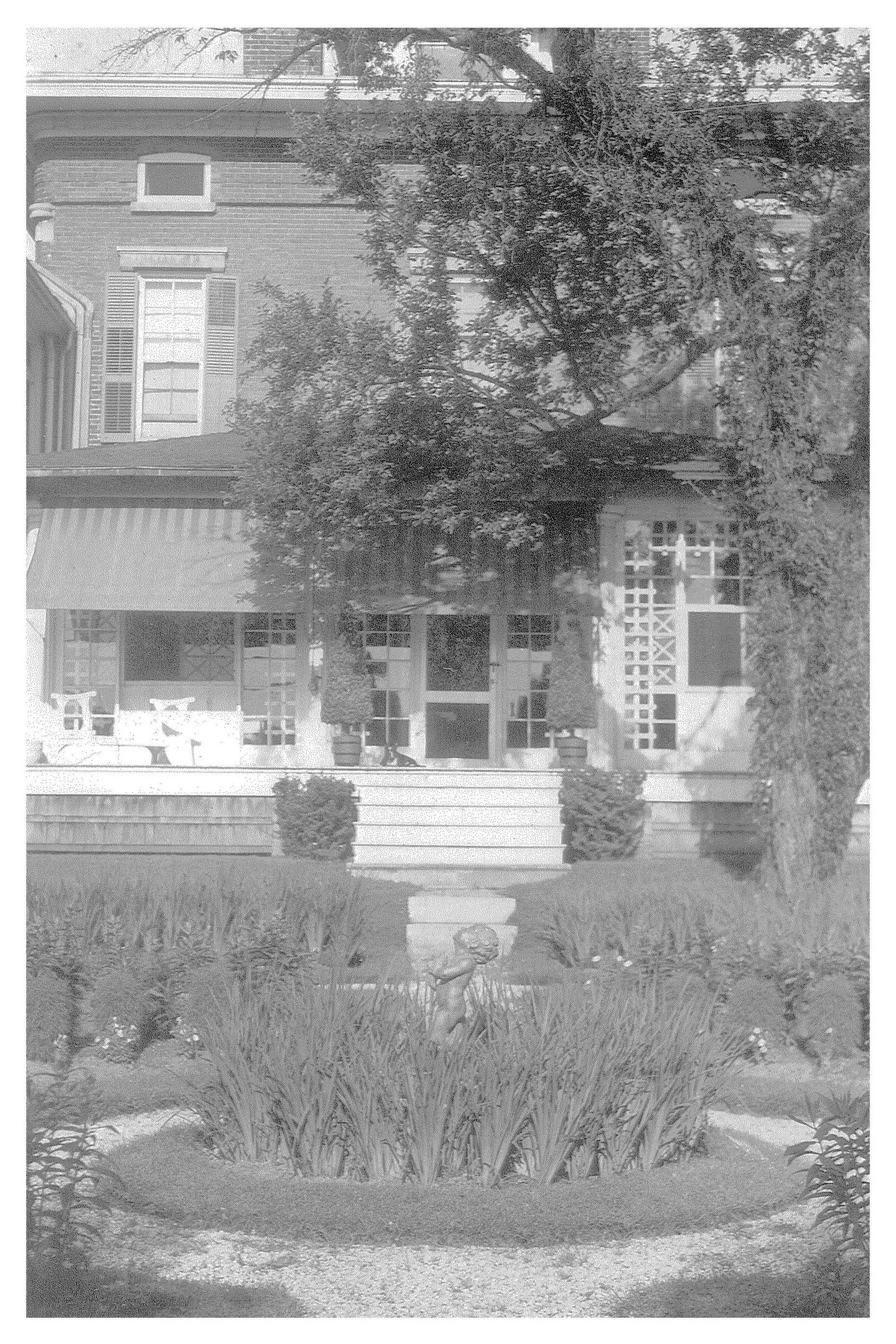 The Fairfield Estate — photograph 157