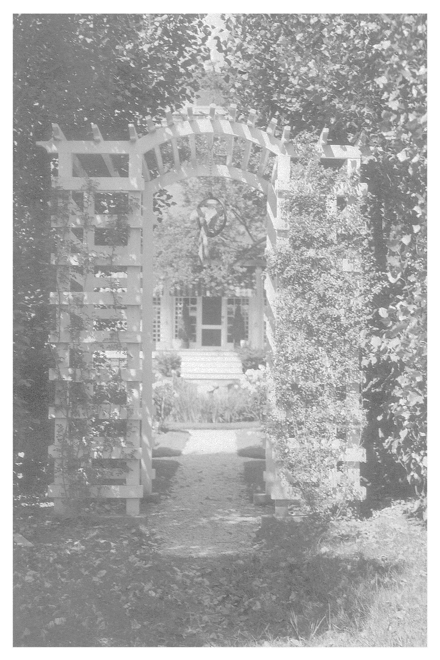 The Fairfield Estate — photograph 158