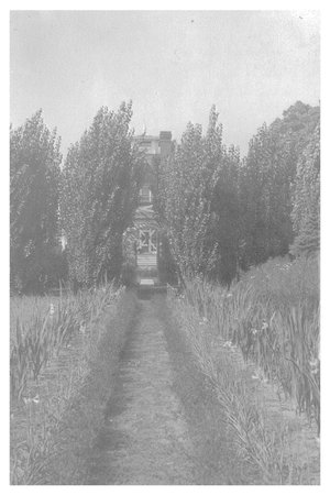 The Fairfield Estate thumbnail 160